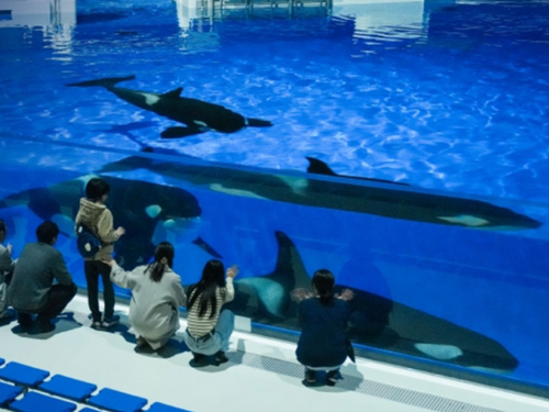 神戸須磨シーワールドホテル 公式