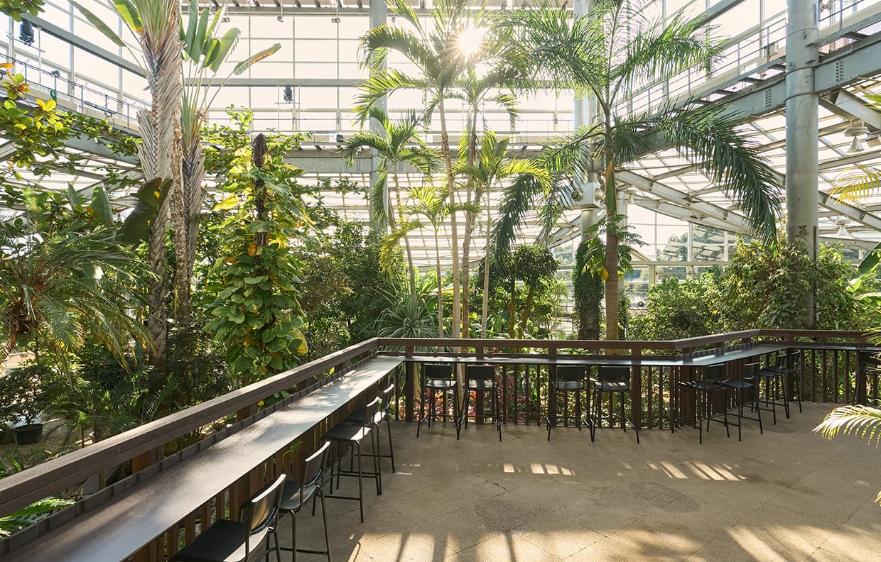 THE BOTANICAL RESORT 林音公式