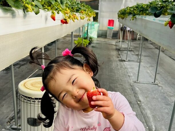 淡路カントリーガーデン