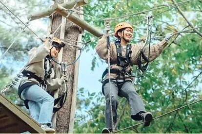 TOWAピュアコテージ公式