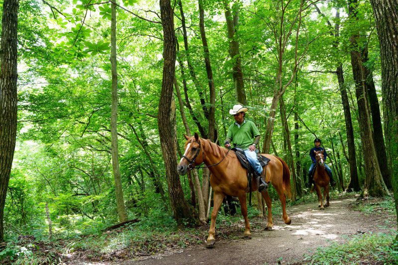 ホテルエピナール那須 公式