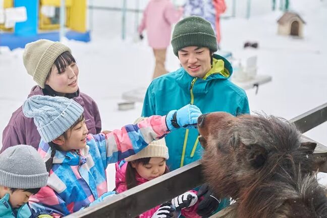 白樺リゾート スノーパーク 公式