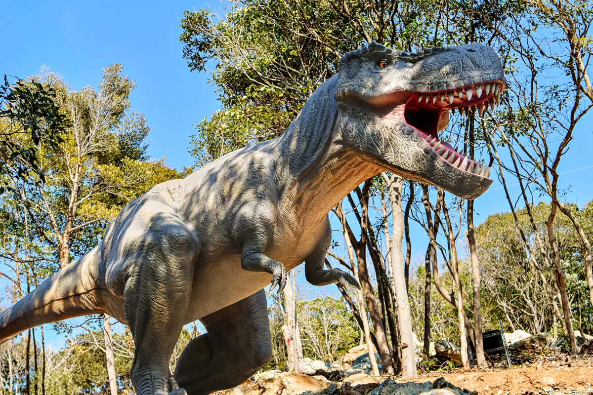 COCO LAND 山口・宇部