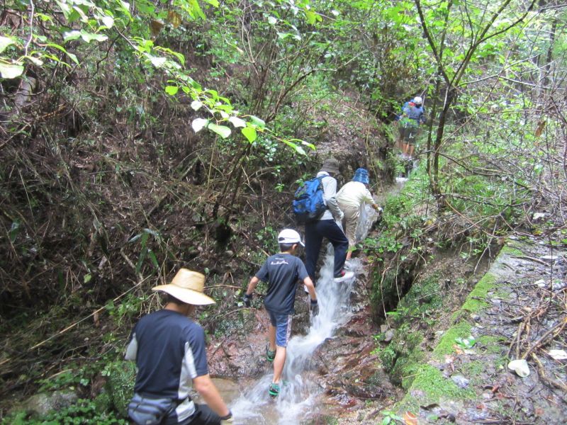 たかはら自然塾 公式
