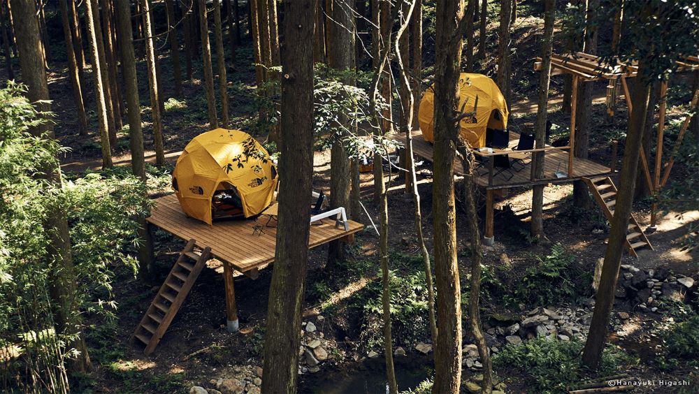 リバーバンク森の学校