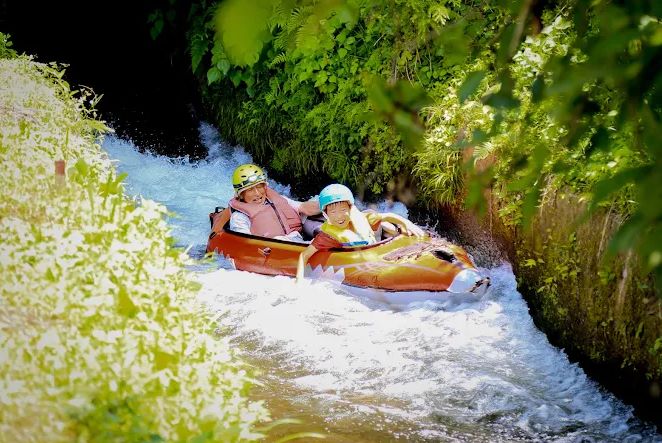きくちふるさと水源交流館