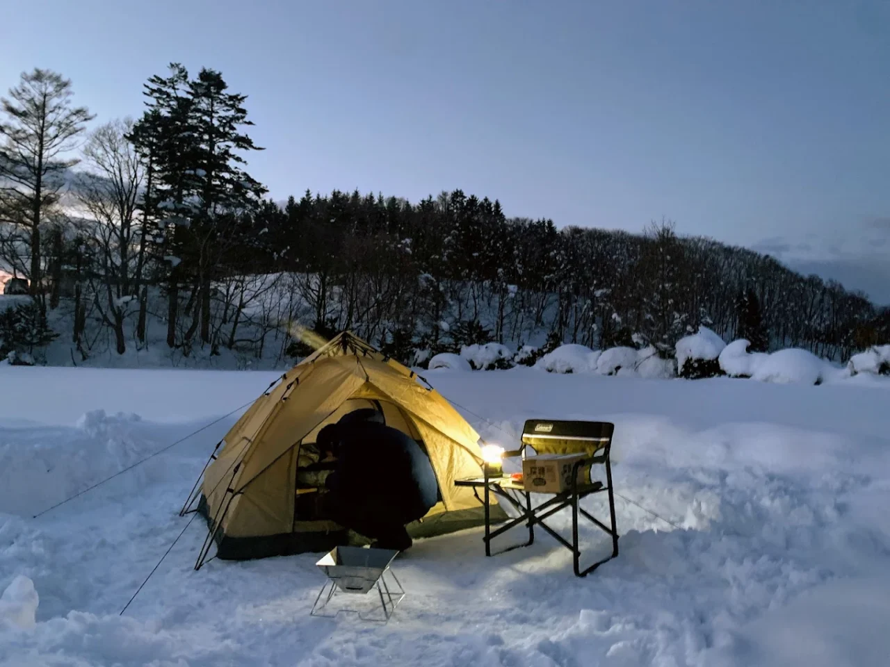 ペコレラ学舎 公式