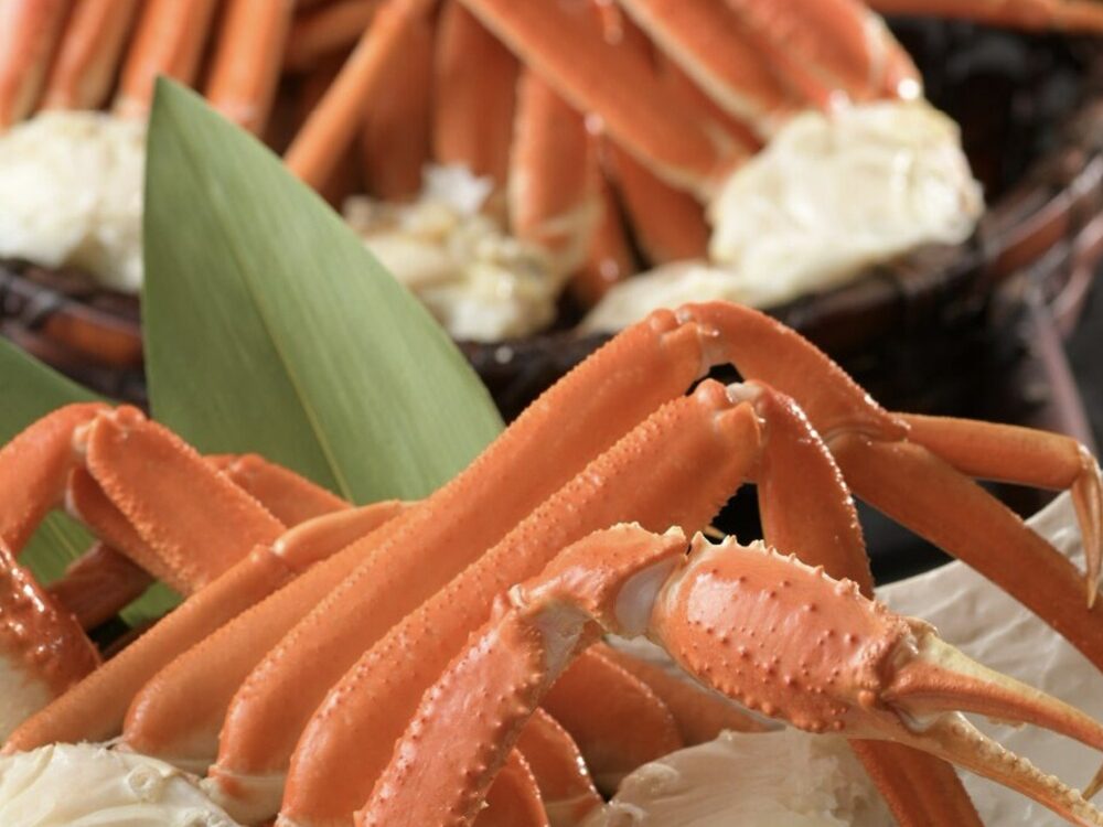 亀の井ホテル 鳥羽