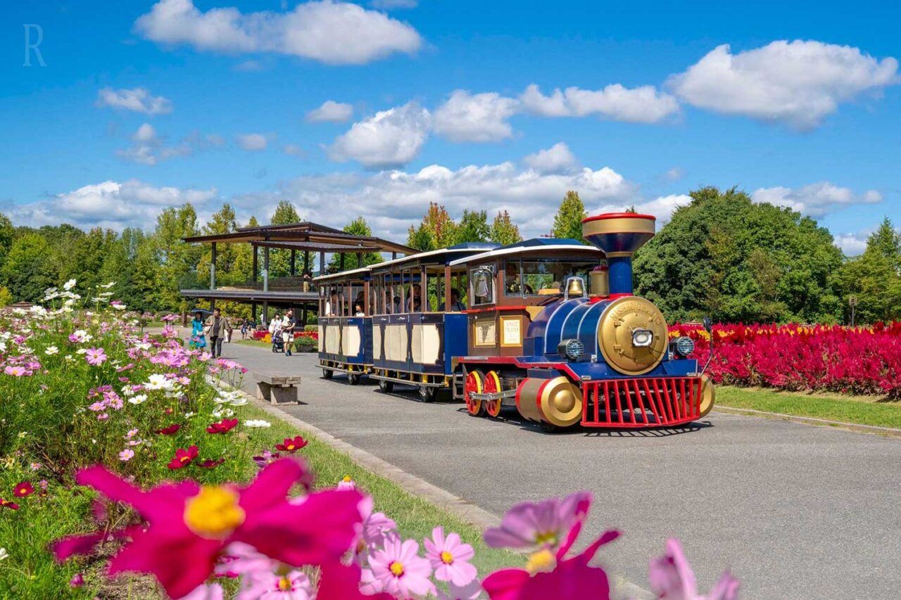 湖畔ステイズ庄原