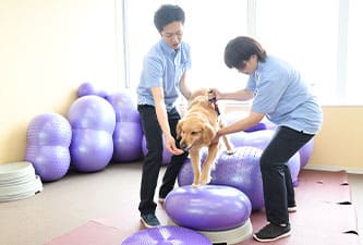 レジーナリゾート鴨川